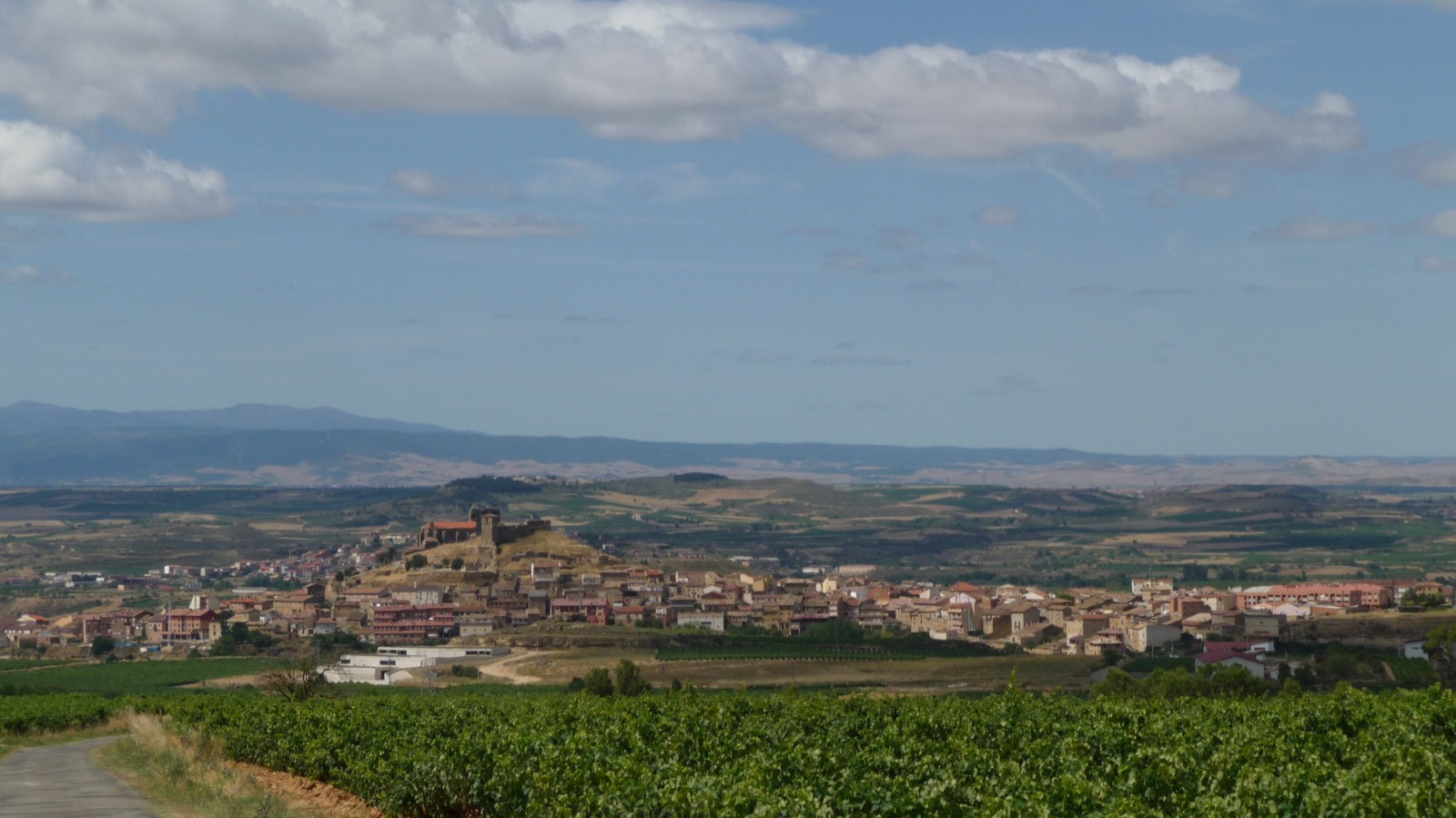 Hilltop village of San Vicente de la Sonsierra amid Rioja Alta vineyards. Photo by BigSus, licensed CC BY 2.5, via Wikimedia Commons